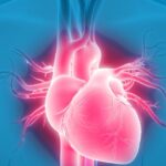 Structural Heart Devices Market