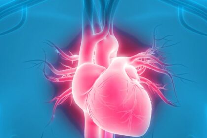 Structural Heart Devices Market