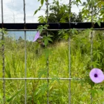 Agricultural Fencing Market