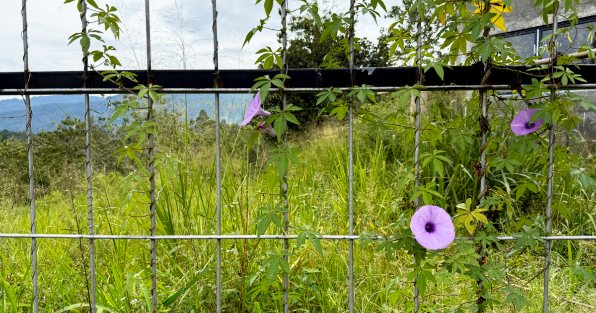 Agricultural Fencing Market