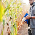 Agrochemicals Market