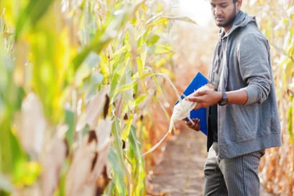 Agrochemicals Market