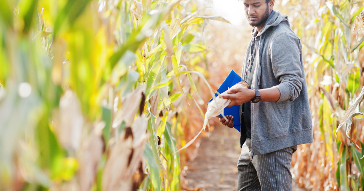 Agrochemicals Market
