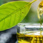 Biofuels Market