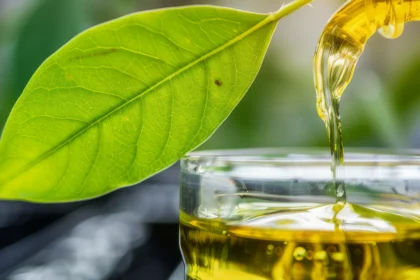 Biofuels Market