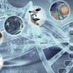 U.S. Biotechnology Market