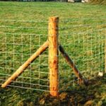 U.S. Agricultural Fencing Market