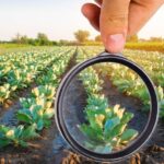 U.S. agrochemical market