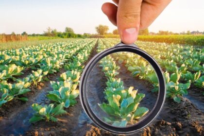 U.S. agrochemical market