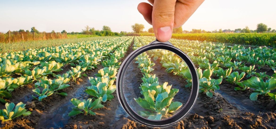 U.S. agrochemical market