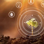 Use of AI technology in agriculture