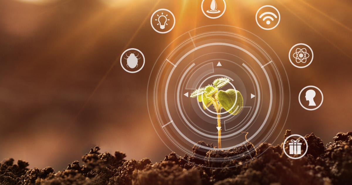 Use of AI technology in agriculture