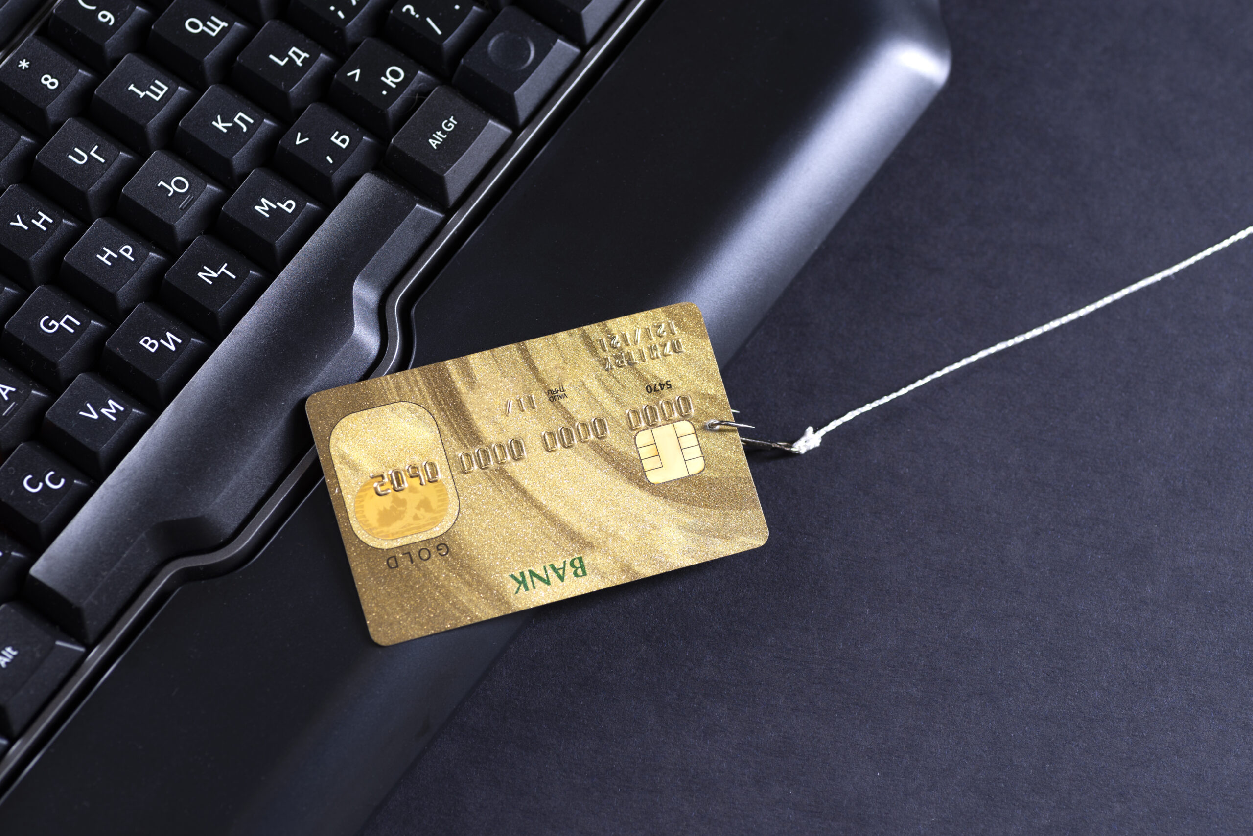 Credit card fraud detection market