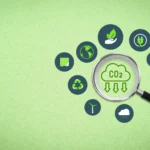 carbon-credit-market-sustainability-and-net-zero-transition
