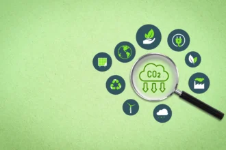 carbon-credit-market-sustainability-and-net-zero-transition