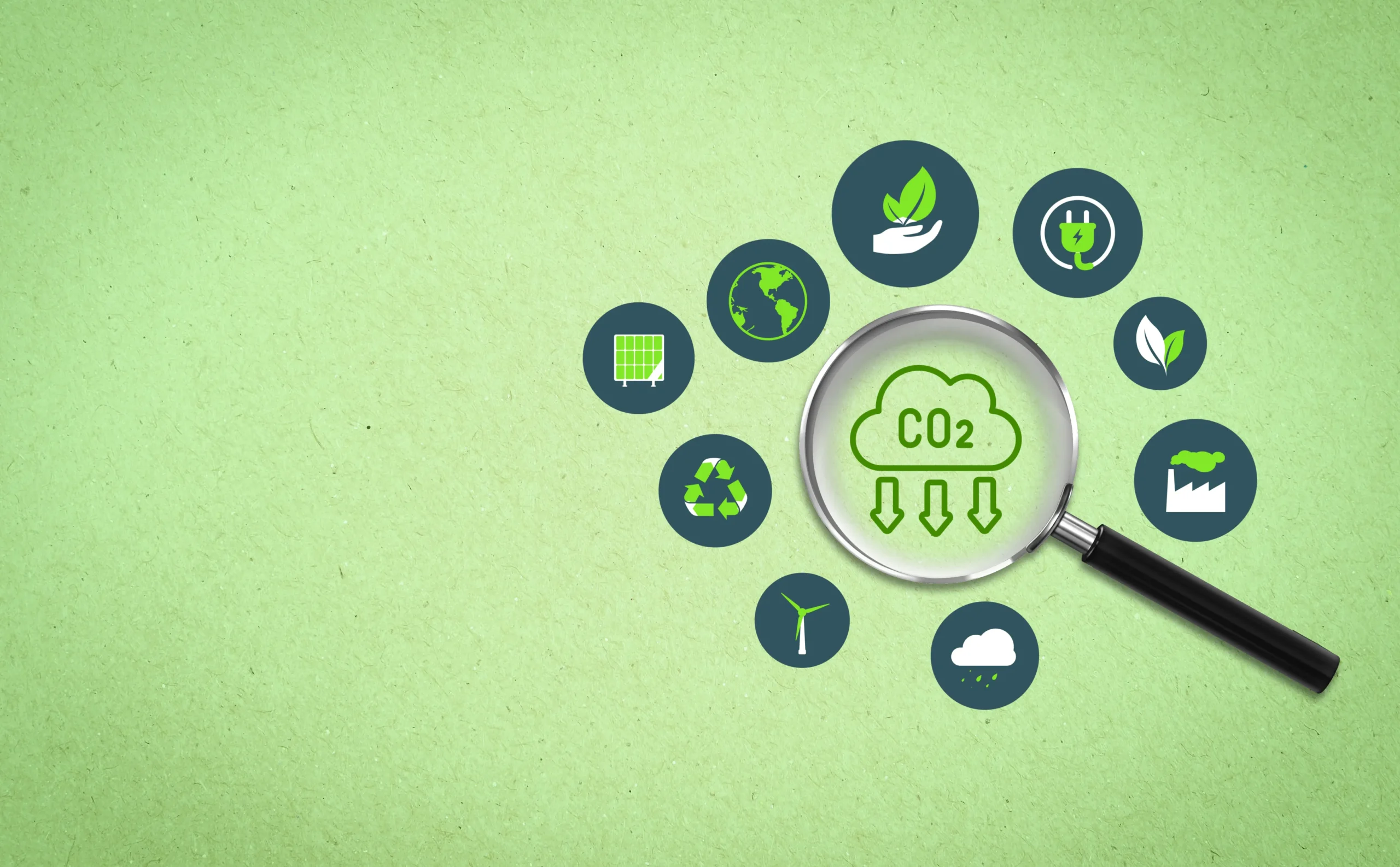 carbon-credit-market-sustainability-and-net-zero-transition