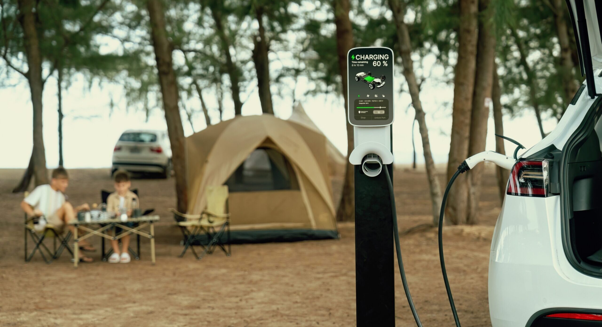 EV Market