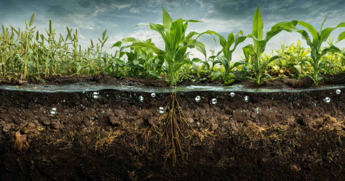 Use of technology in the agriculture